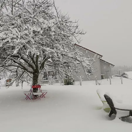 Chalet Du Petit Cerf Xonrupt-Longemer