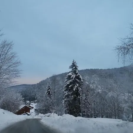Lejlighed Chalet Du Petit Cerf Xonrupt-Longemer
